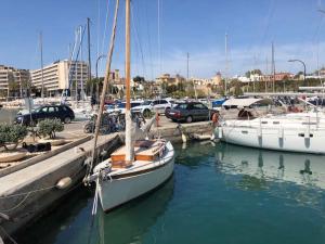 004-Harrison-Butler-Z